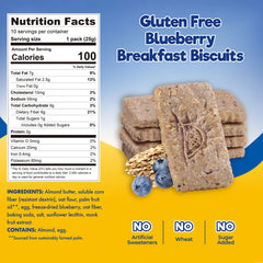 Blueberry Breakfast Cookies